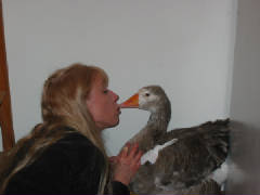 jacquelinekissgoose.JPG