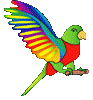 Avian100x100.gif